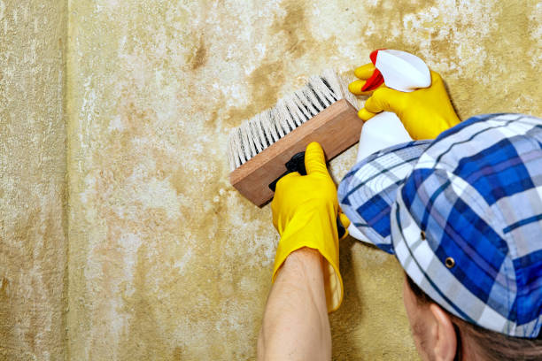 Best HVAC Mold Inspection and Cleaning  in Grant, AL